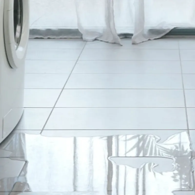 Appliance Leak Cleanup in Albemarle County, VA