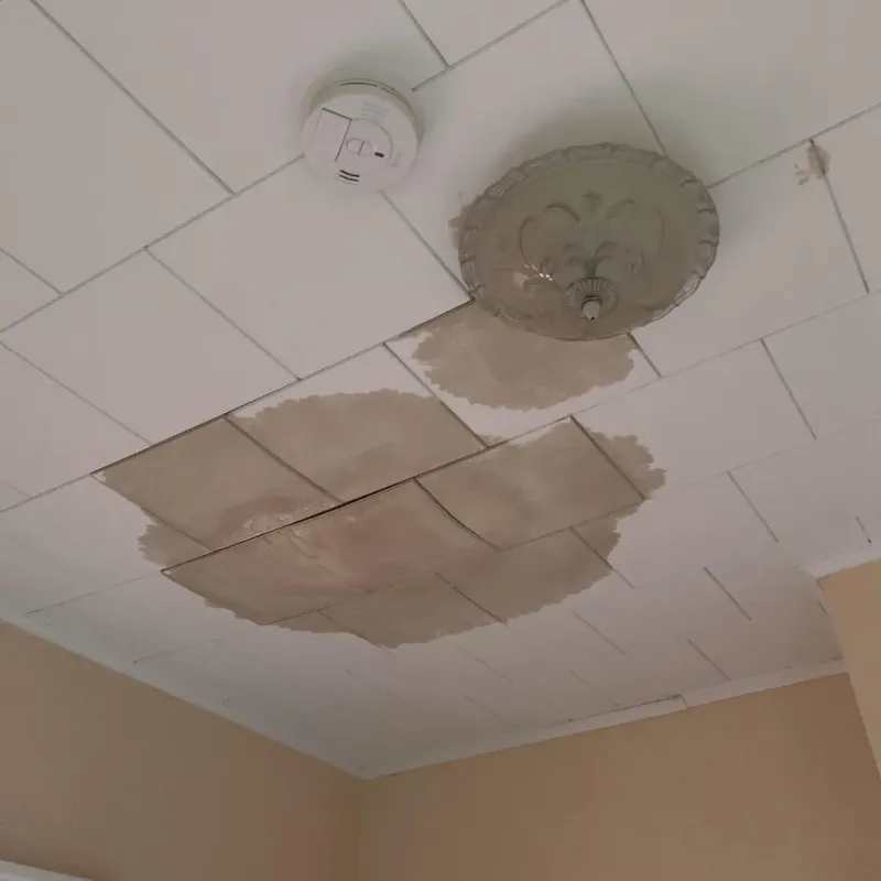 Ceiling Water Damage Repair in Albemarle County, VA