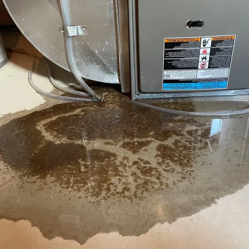 Pipe Burst and Leak Restoration in Albemarle County, VA